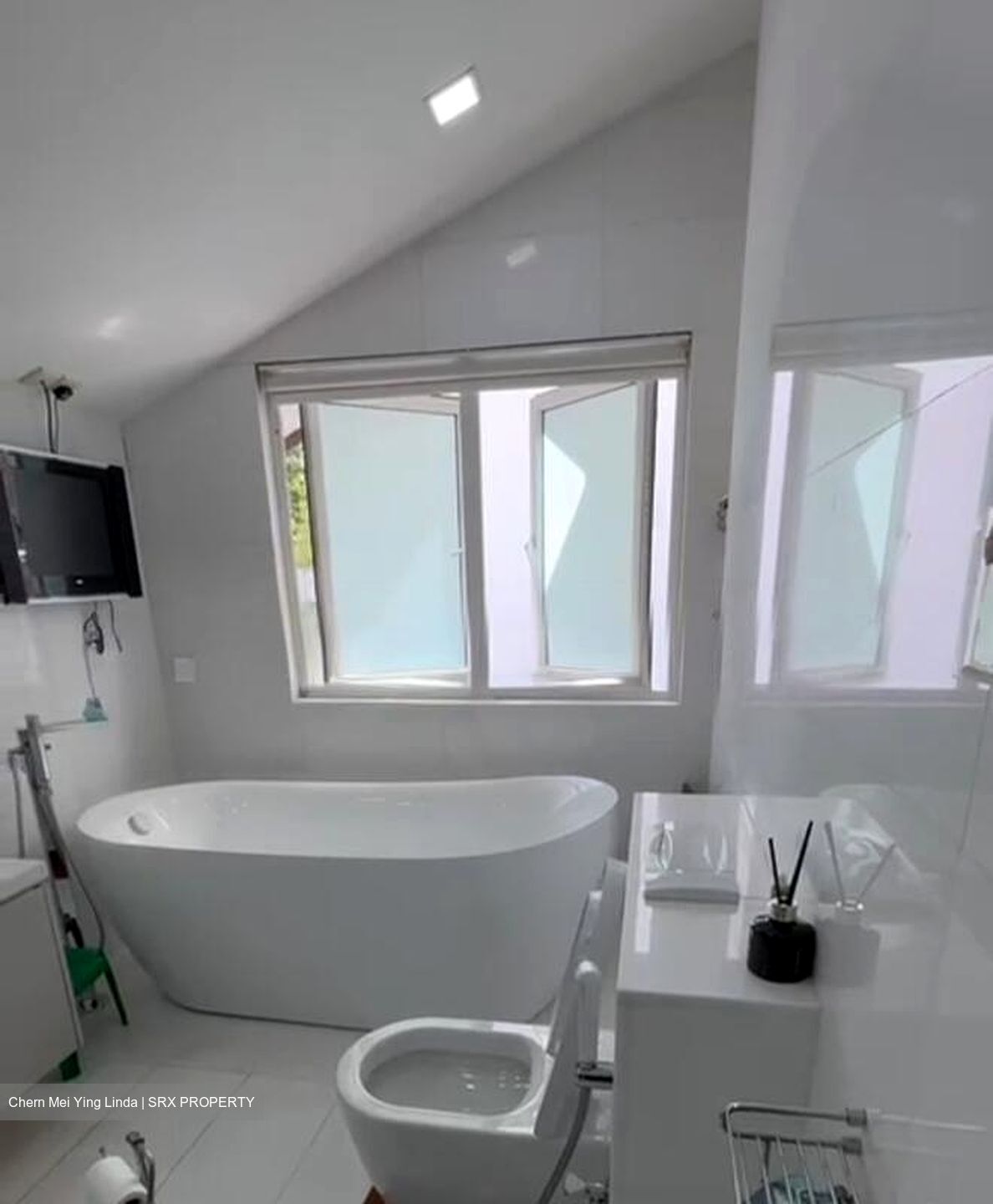 Joo Chiat Road (D15), Semi-Detached #496455861